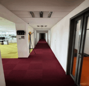 Polygon, 303 sq m