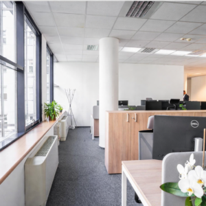 Palác Archa, 239.68 sq m