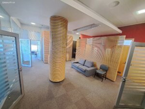 Projekt Křižíkova